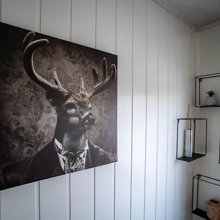 Center Getaway 9 By Berti Στάβανγκερ